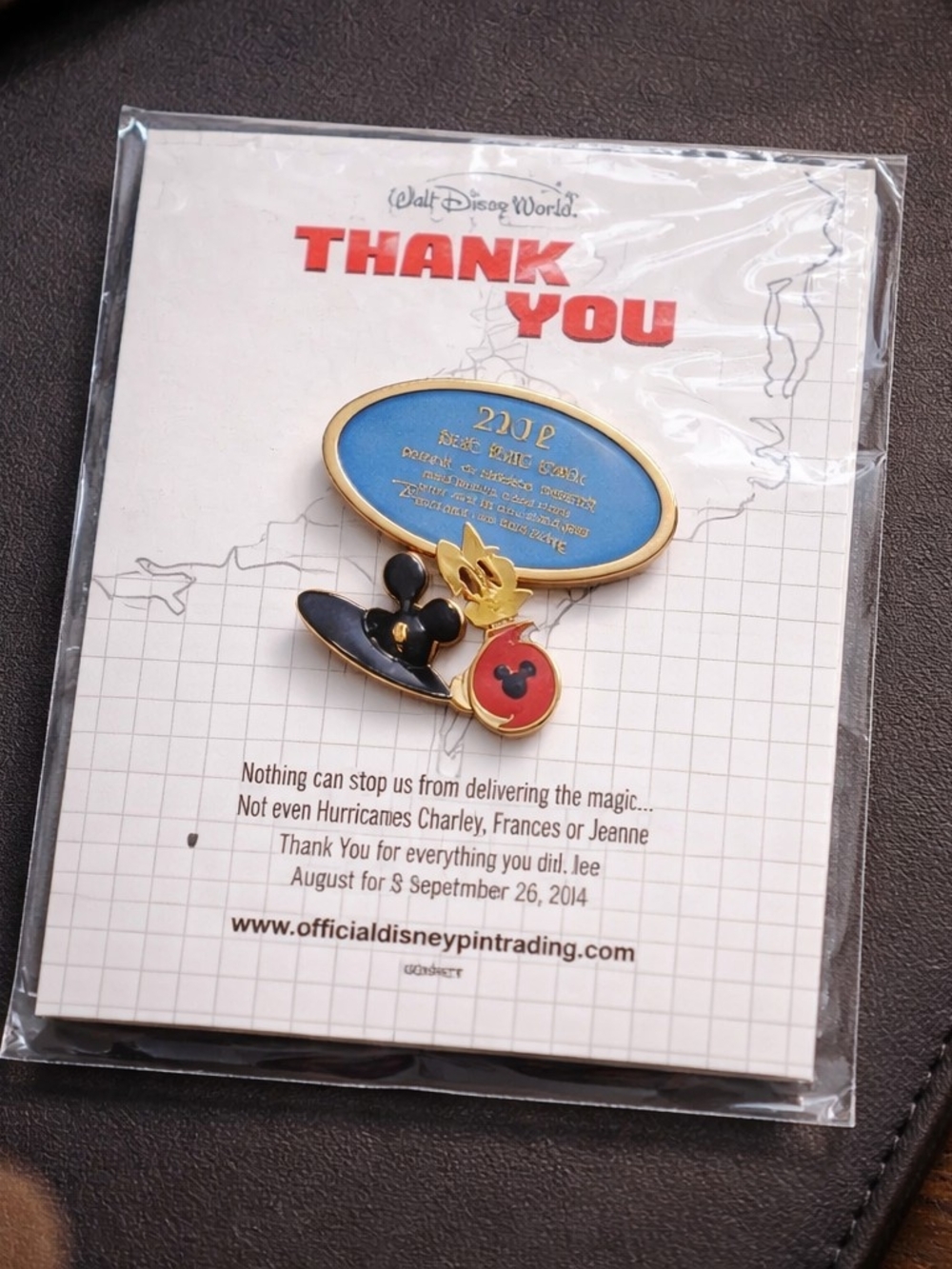 Disney Surviving Hurricanes Thank You Pin